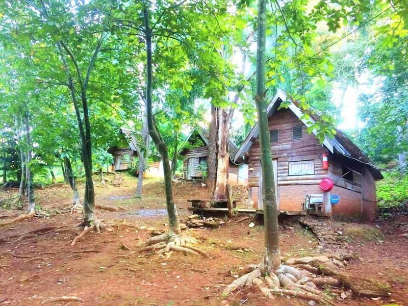 Jungle guest house, Pangmapha, Thailand