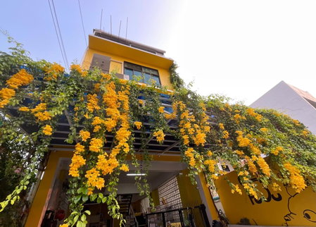 Gumpuju คำปู้จู้, Chiang Mai, Thailand