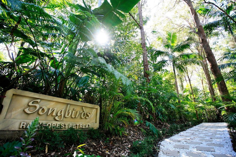 Songbirds Rainforest Retreat, Tamborine Mountain, Australia