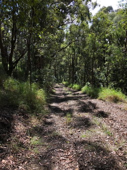 The Ridge at Maleny, Maleny, Australia