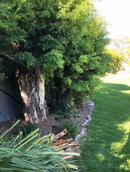 Kerang Valley Resort, Kerang, Australia