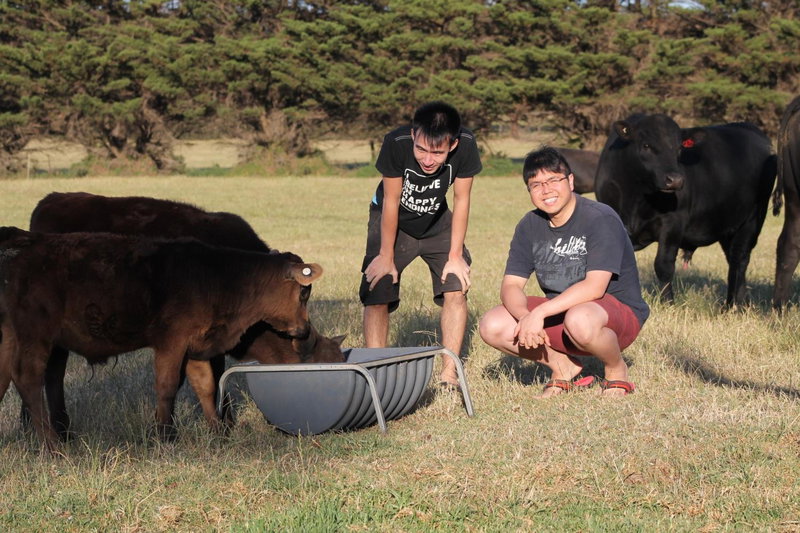 Bimbadeen Phillip Island Farm Retreats, Ventnor, Australia