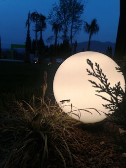Vital Göl, Sapanca, Turkey