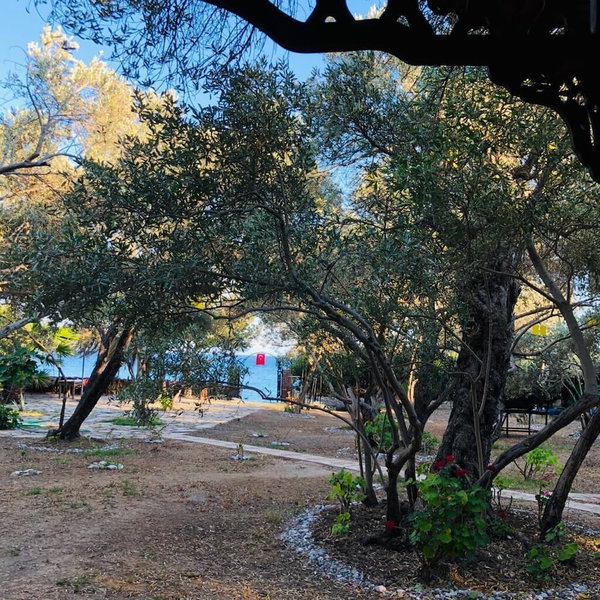 Datca Masal Gibi, Datça, Turkey