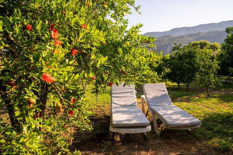 Ikiz Villas, Cıralı, Turkey