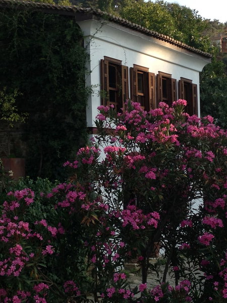 Terrace Houses Sirince - Fig, Olive Clockmakers and Grapevine, Selçuk, Turkey