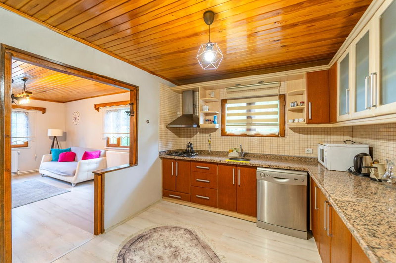 Sapancaminihouse, Sapanca, Turkey