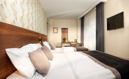 Hotel Bossuite Business, Istanbul, Turkey