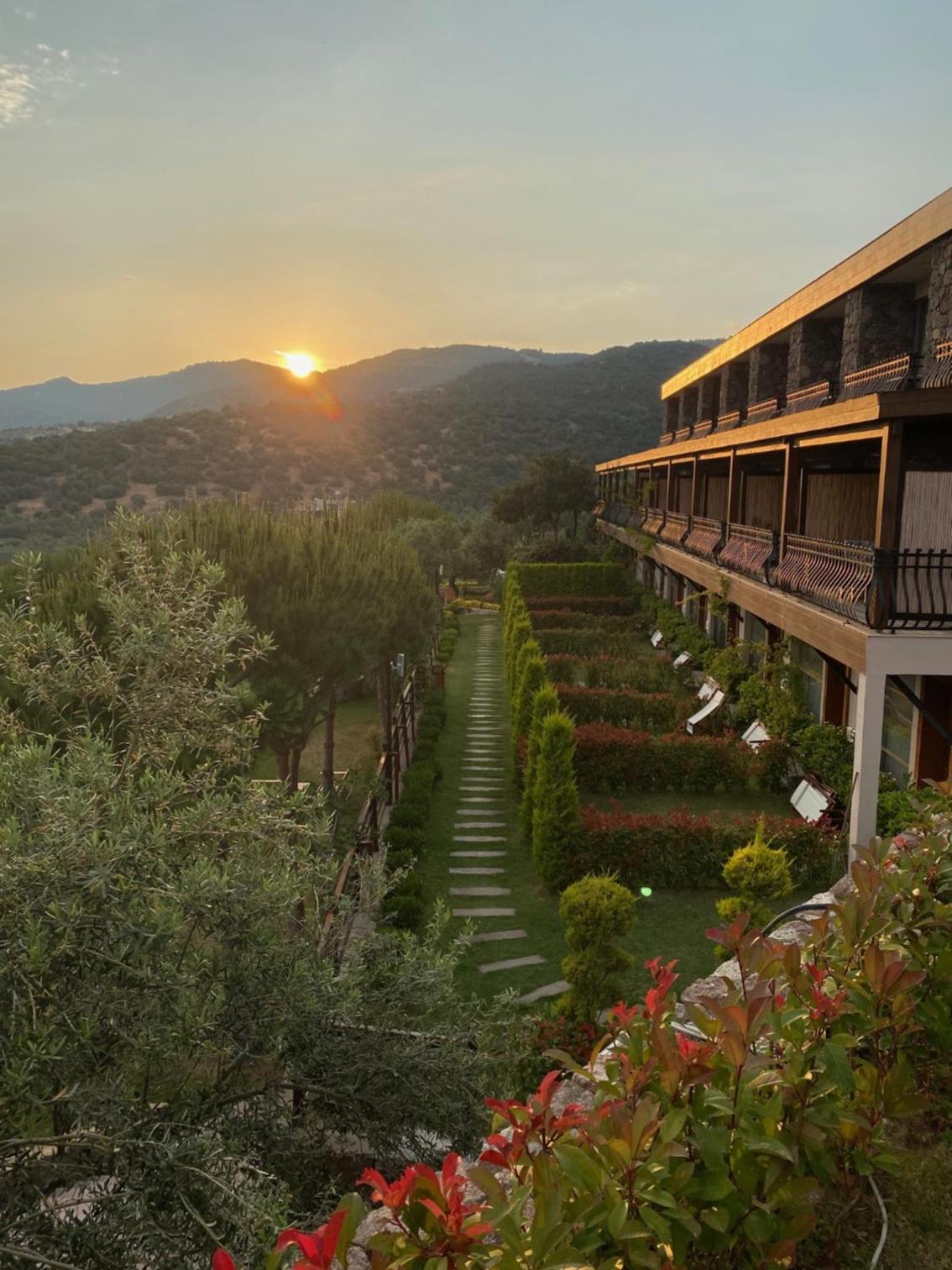 Hotel · Assos Longevity Hotel, Sokakagzi