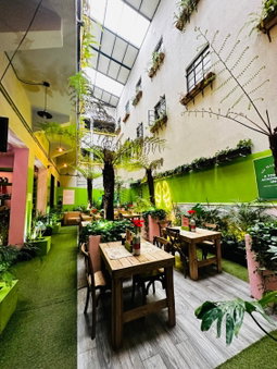 FRONTERA 49 Roma Norte Hostal, Mexico City, Mexico