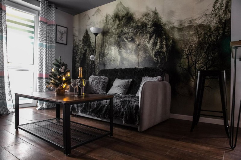 Apartament Wataha, Ustrzyki Dolne, Poland