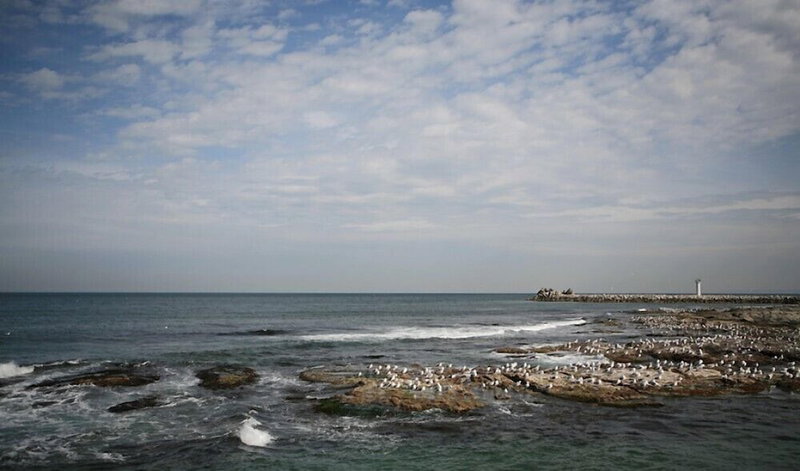 Puran Bada Pension, Pohang, South Korea