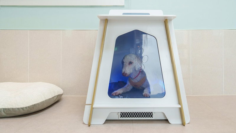 Gyeongsan Stage-ipple pet Pension, Gyeongsan, South Korea