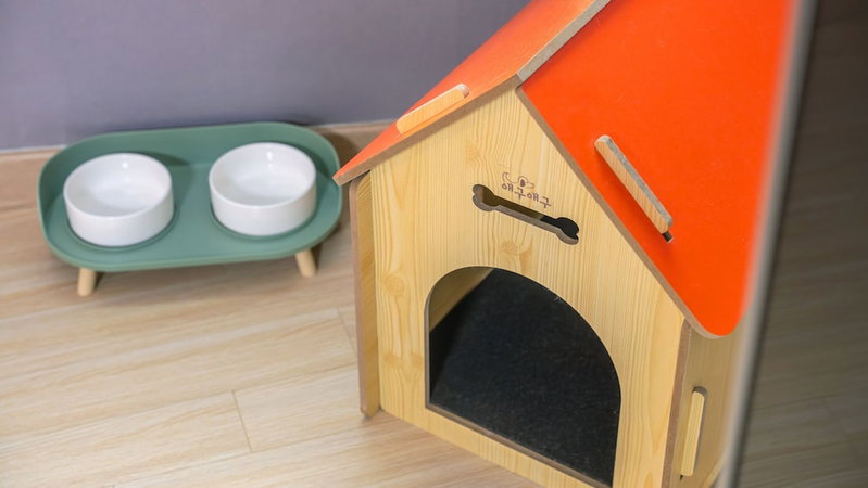 Pocheo Welcome Paw and Meow Pet Pension, Pocheon, South Korea