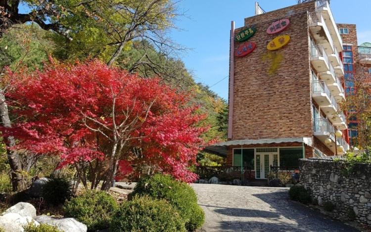 Galcheon Family Resort, South Korea