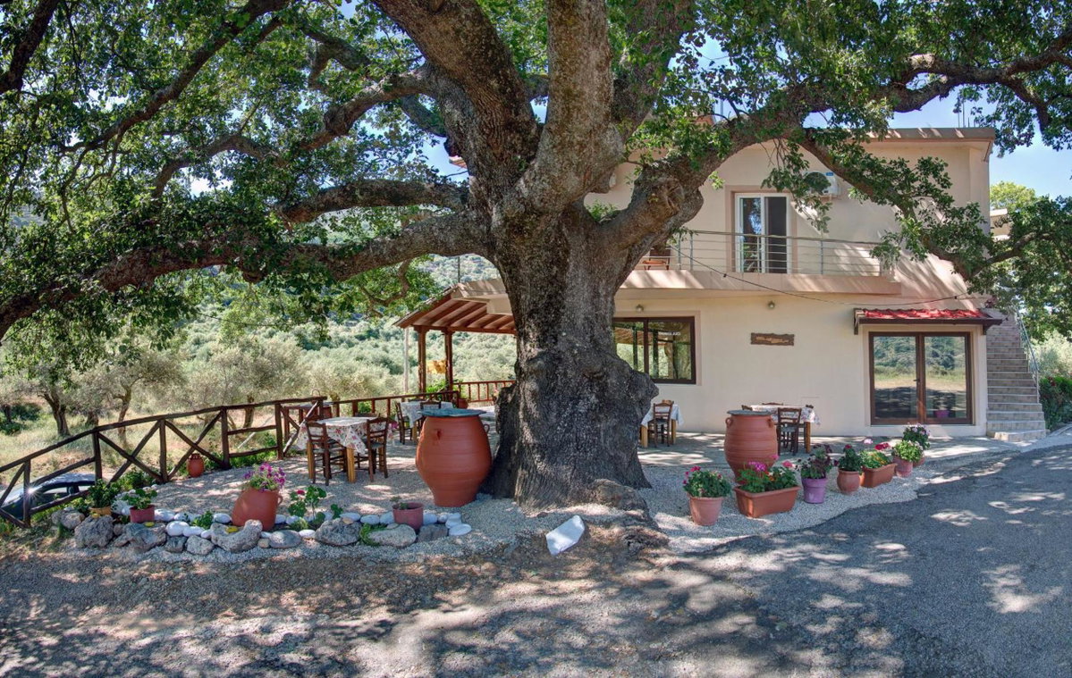 Hotel · Antartisa B&B, Límni