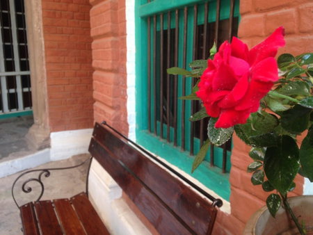 Rose Heritage Home, Varanasi, India