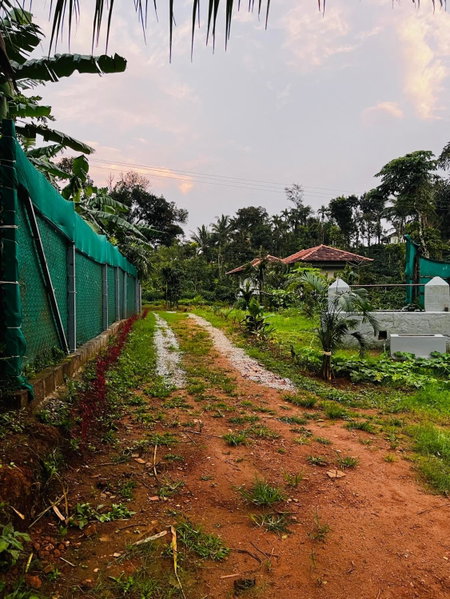 ViGo Homes, Sakleshpur, India