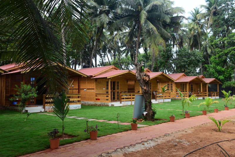 Rockit Cafe & Stay Palolem, Palolem, India