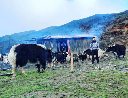 Mochilero Ostello, Pelling, India