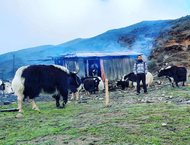 Mochilero Ostello, Pelling, India