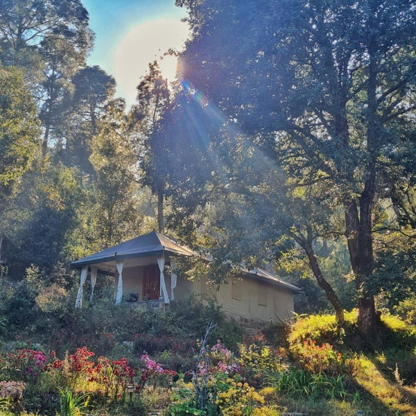 Nayalap - Rural Himalayan Glamping, Shitlakhet, India