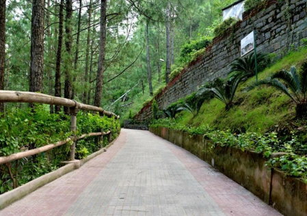 Kasauli Hills Resort, Kasauli, India