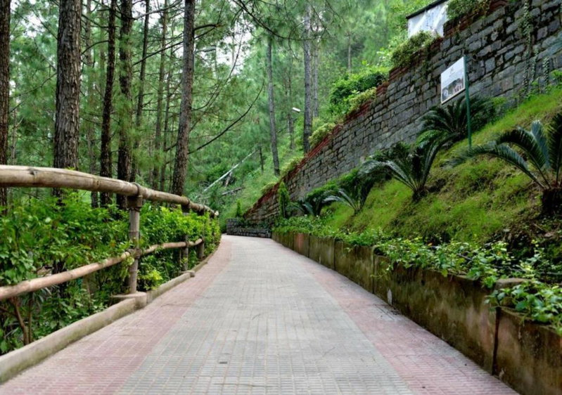 Kasauli Hills Resort, Kasauli, India