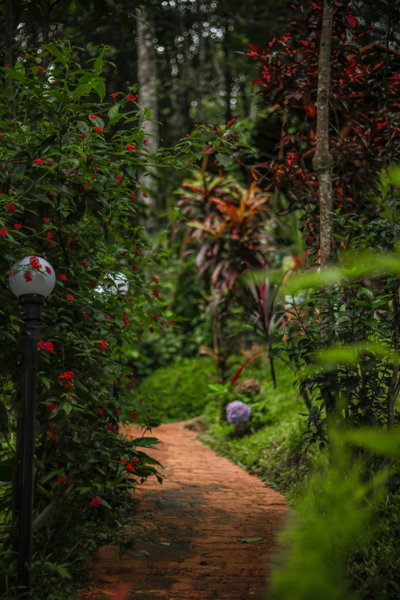 Edens Munnar, Munnar, India