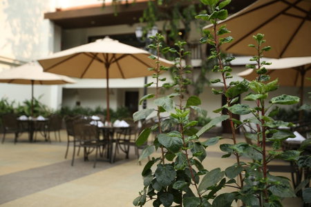 Rhythm Lonavala - An All Suite Resort, Lonavala, India