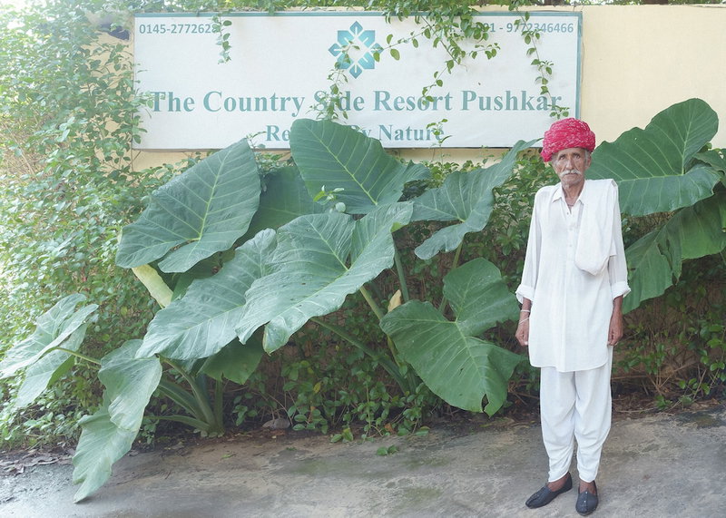 The Country Side Resort, Pushkar, India