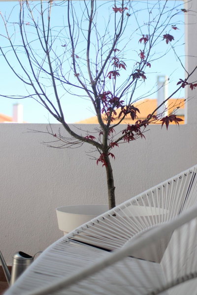 Vila Mafra - Grill Terrace, Mafra, Portugal