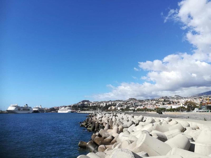 Luxury View Apartment Funchal CENTRAL Families FREE PARKING, Funchal, Portugal