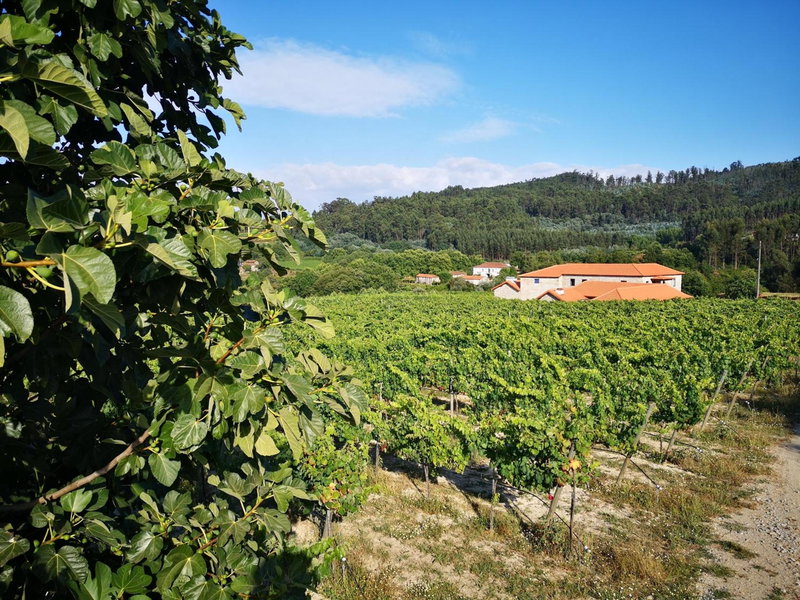 Casa da Portela - Sem Igual, Meinedo, Portugal