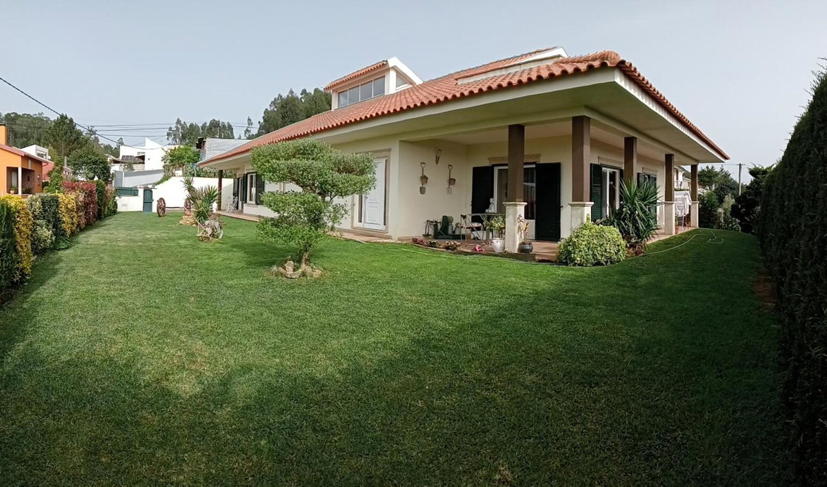 Terreno das Mimosas, Portugal