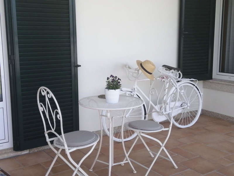 Terreno das Mimosas, Aveiro, Portugal