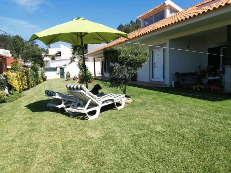 Terreno das Mimosas, Aveiro, Portugal
