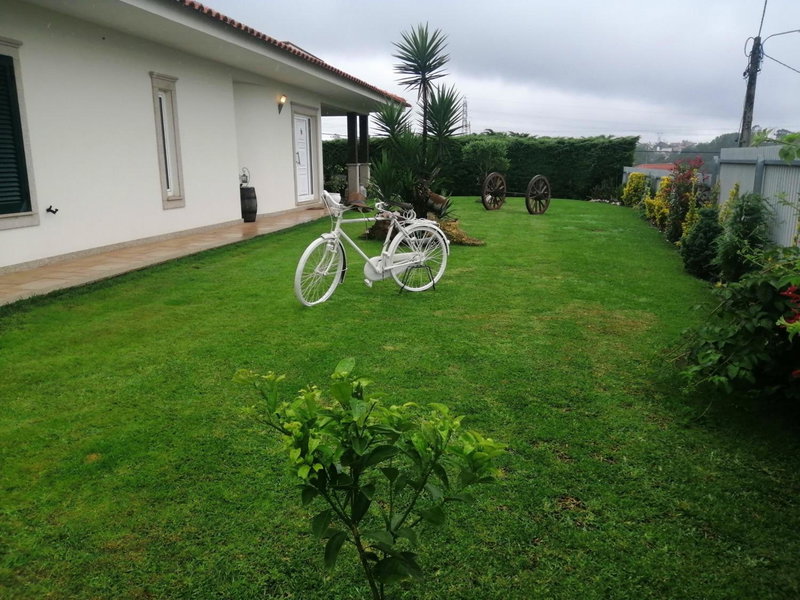Terreno das Mimosas, Aveiro, Portugal