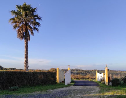 Apartamentos na Quinta Altavista do Carvalhal, Zambujeira do Mar, Portugal