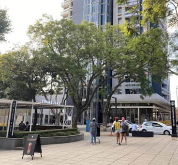 The Serviced Apartment Collection At The Tyrwhitt Rosebank, Johannesburg, South Africa