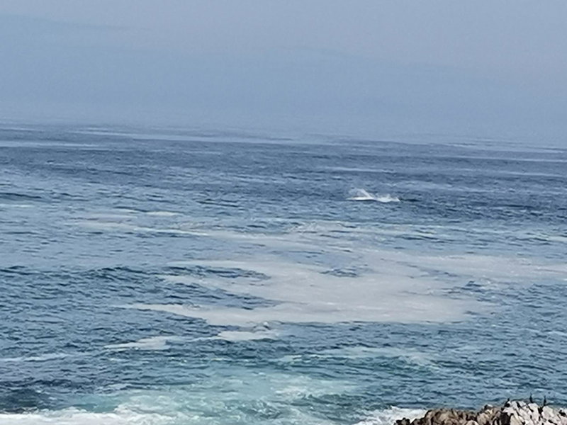La Melamire On the Rocks Bed & Breakfast, Gansbaai, South Africa