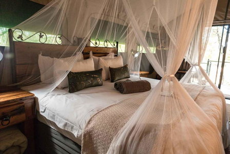 Umkumbe Bush Lodge - Luxury Tented Camp, Sabi Sand Game Reserve, South Africa