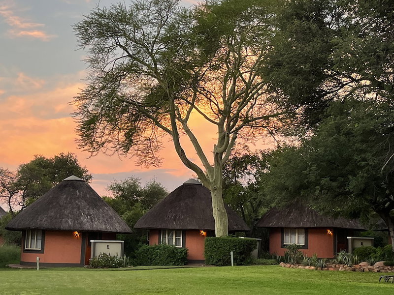 Mohlabetsi Safari Lodge, Hoedspruit, South Africa