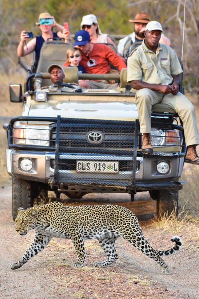 Mohlabetsi Safari Lodge, Hoedspruit, South Africa