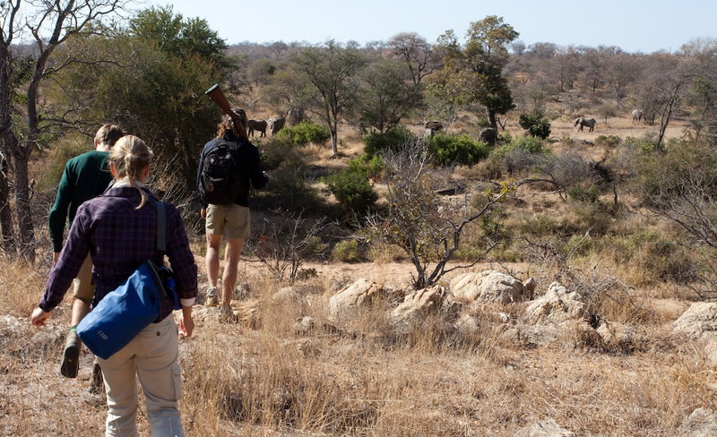 Kingfisher Creek Safari Lodge, Hoedspruit, South Africa