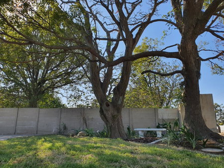 Coral Tree Boutique Guesthouse, East London, South Africa