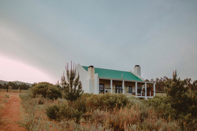 Blue Crane Farm Lodge, Botrivier, South Africa