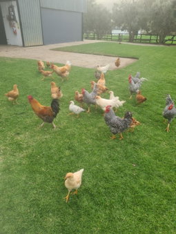 Prosper Stud Guest House, Robertson, South Africa