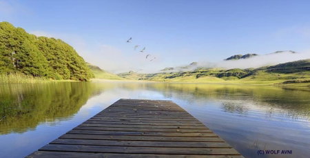Giantscup Wilderness Reserve, Underberg, South Africa