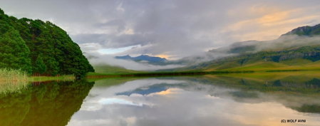 Giantscup Wilderness Reserve, Underberg, South Africa